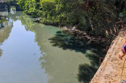 萬(wàn)江：河涌現(xiàn)“綠水”，偷排企業(yè)被查處！